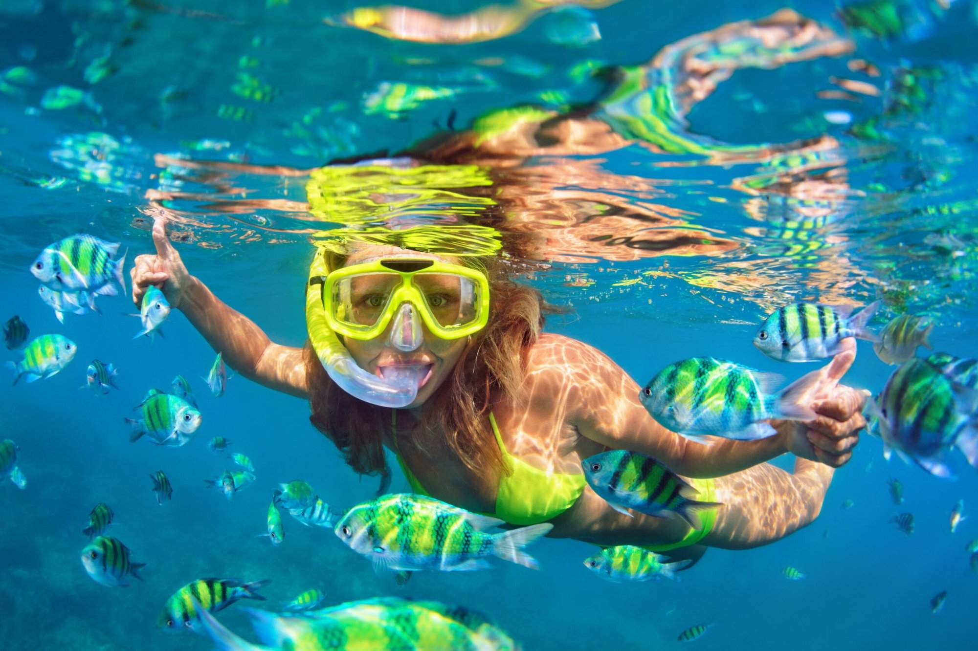 Snorkeling in Alor with Savu South