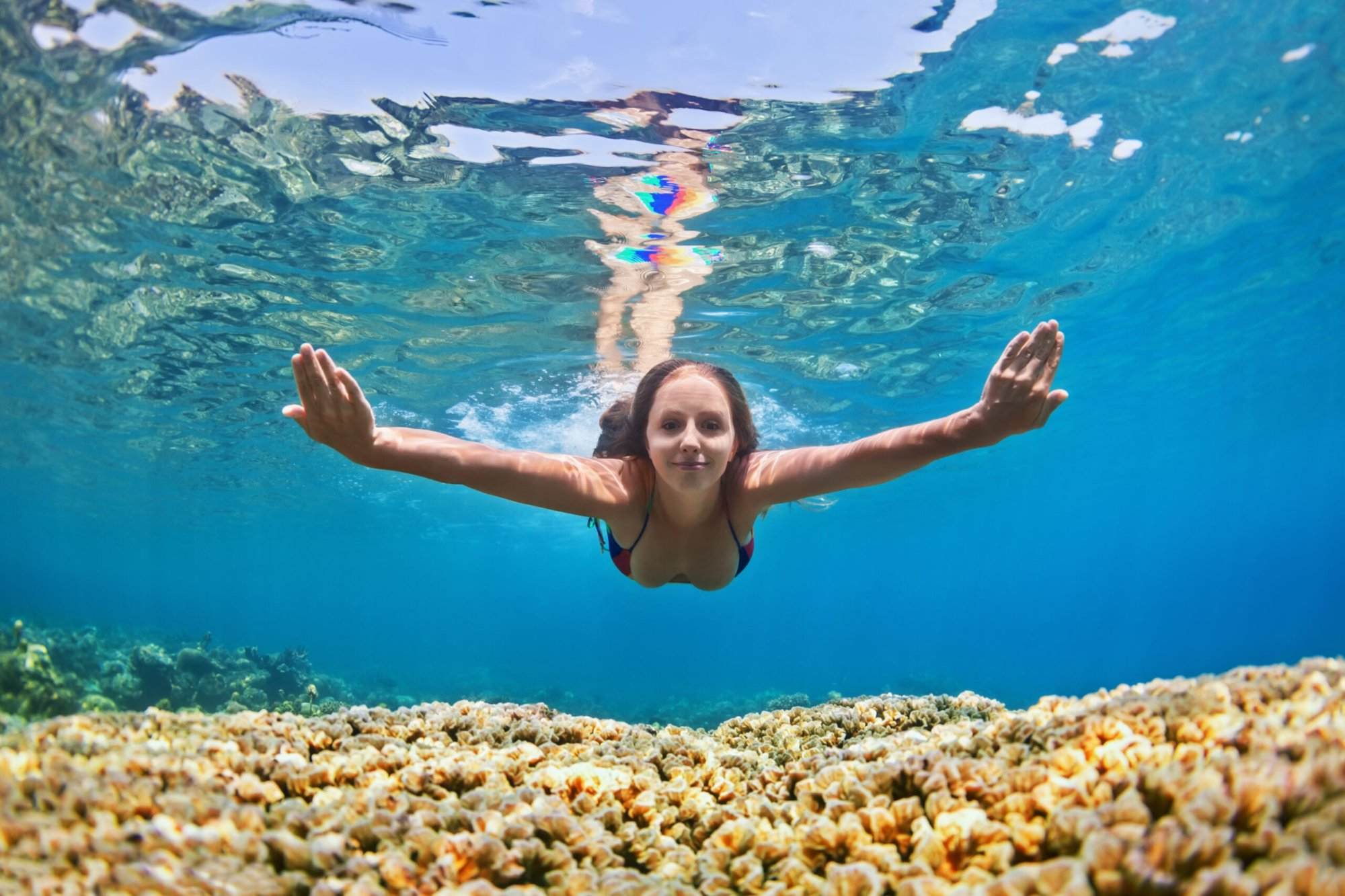 Shallow coral gardens in Alor